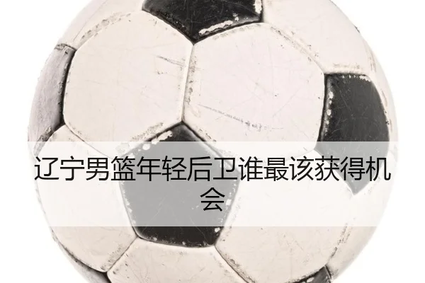 辽宁男篮年轻后卫谁最该获得机会