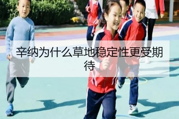 辛纳为什么草地稳定性更受期待